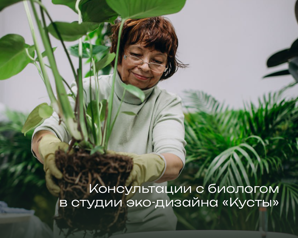 Профессиональные советы по уходу за растениями
