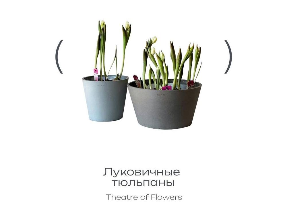 Выбирайте подарки к 8 марта