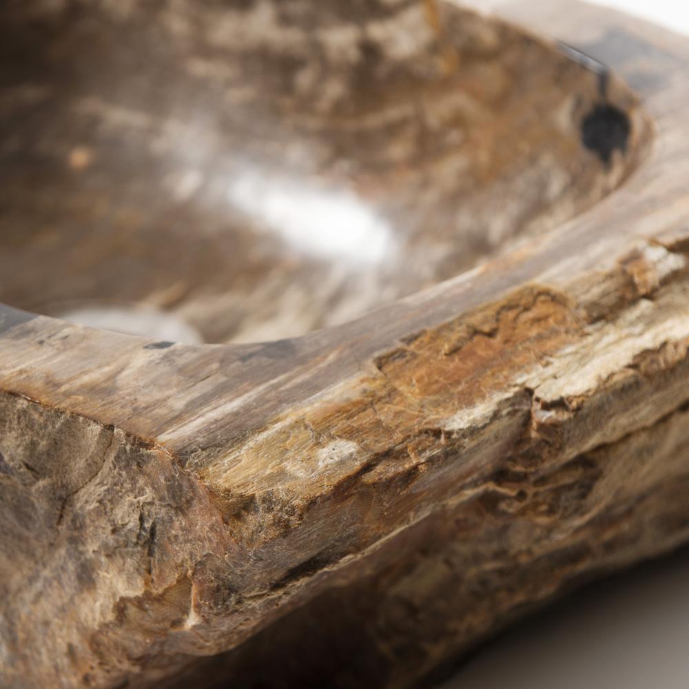 Раковина из окаменелого дерева Fossil Stone