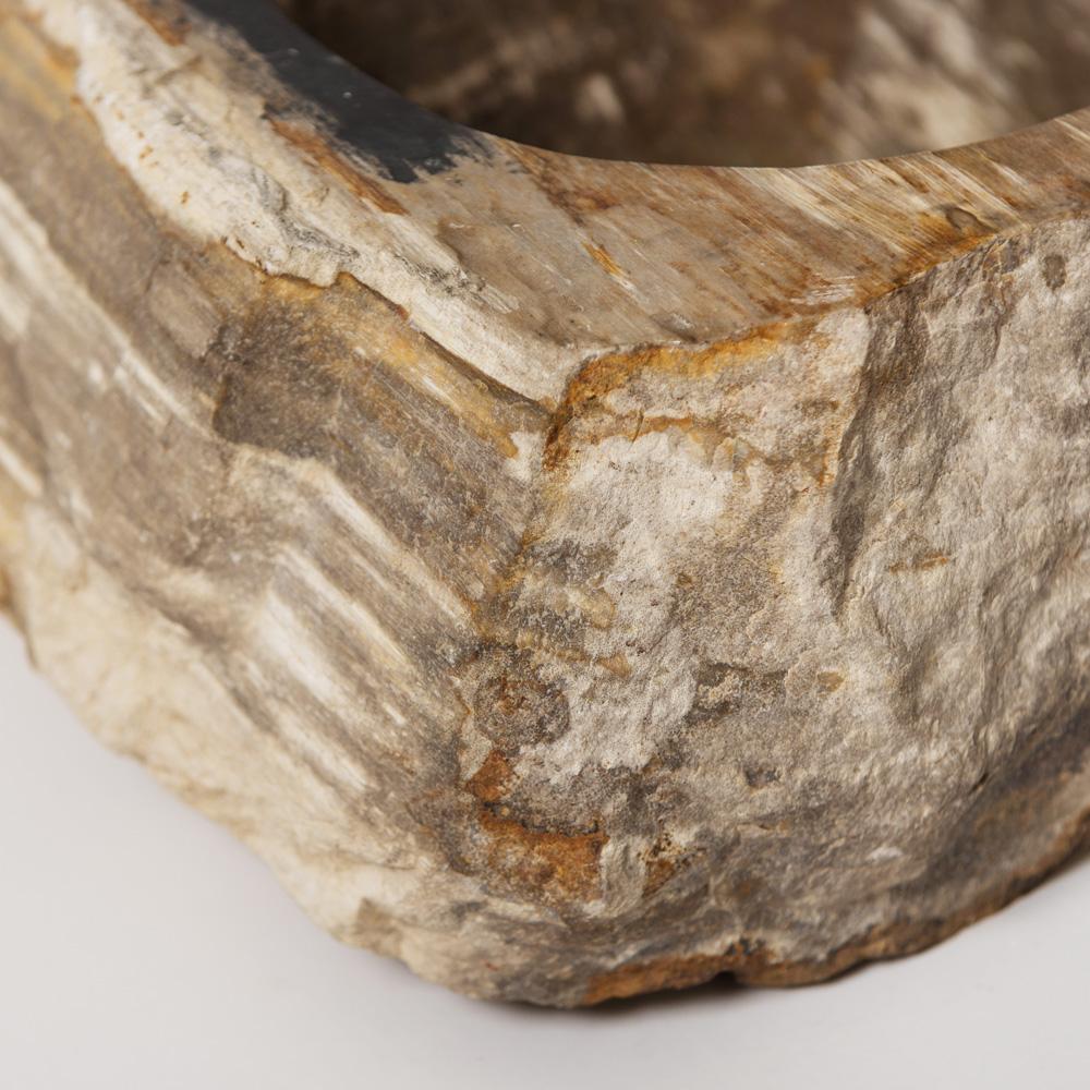 Раковина из окаменелого дерева Fossil Stone