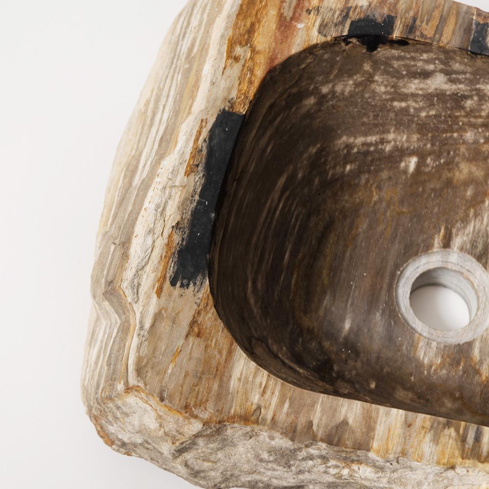 Раковина из окаменелого дерева Fossil Stone