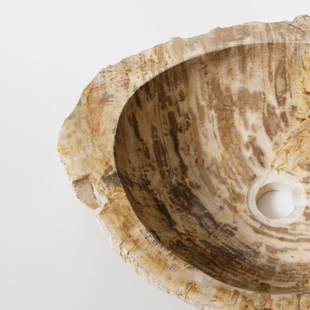 Раковина из окаменелого дерева Fossil Stone